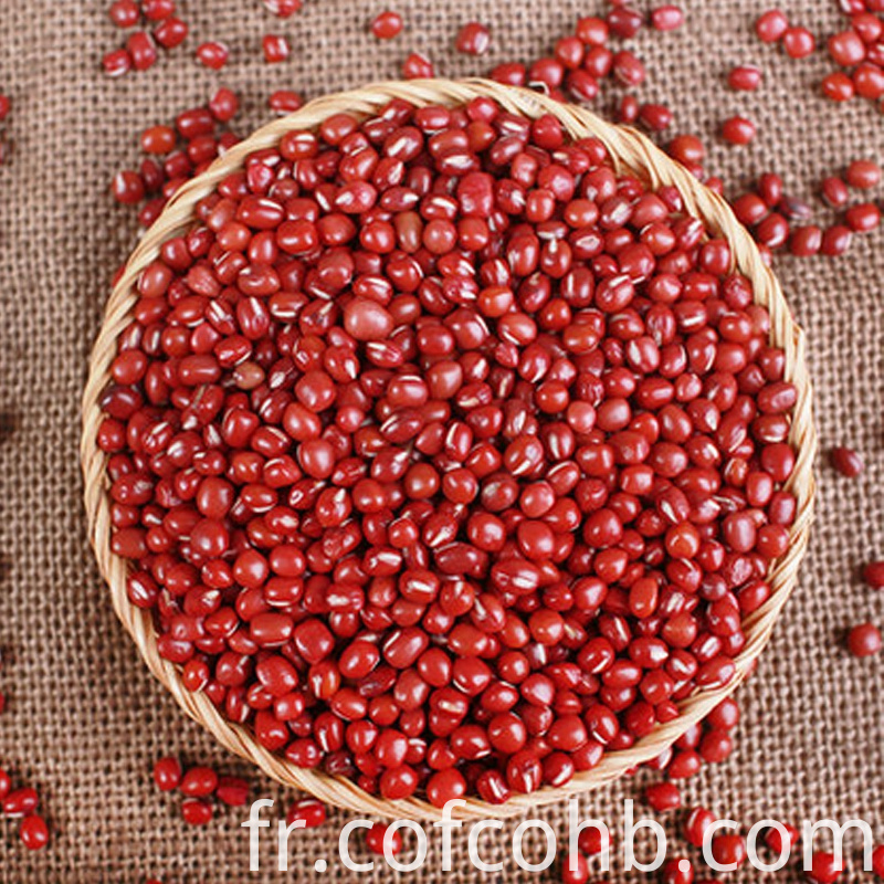 Nutrition Petits Haricots Rouges Nutrition Small Red Beans